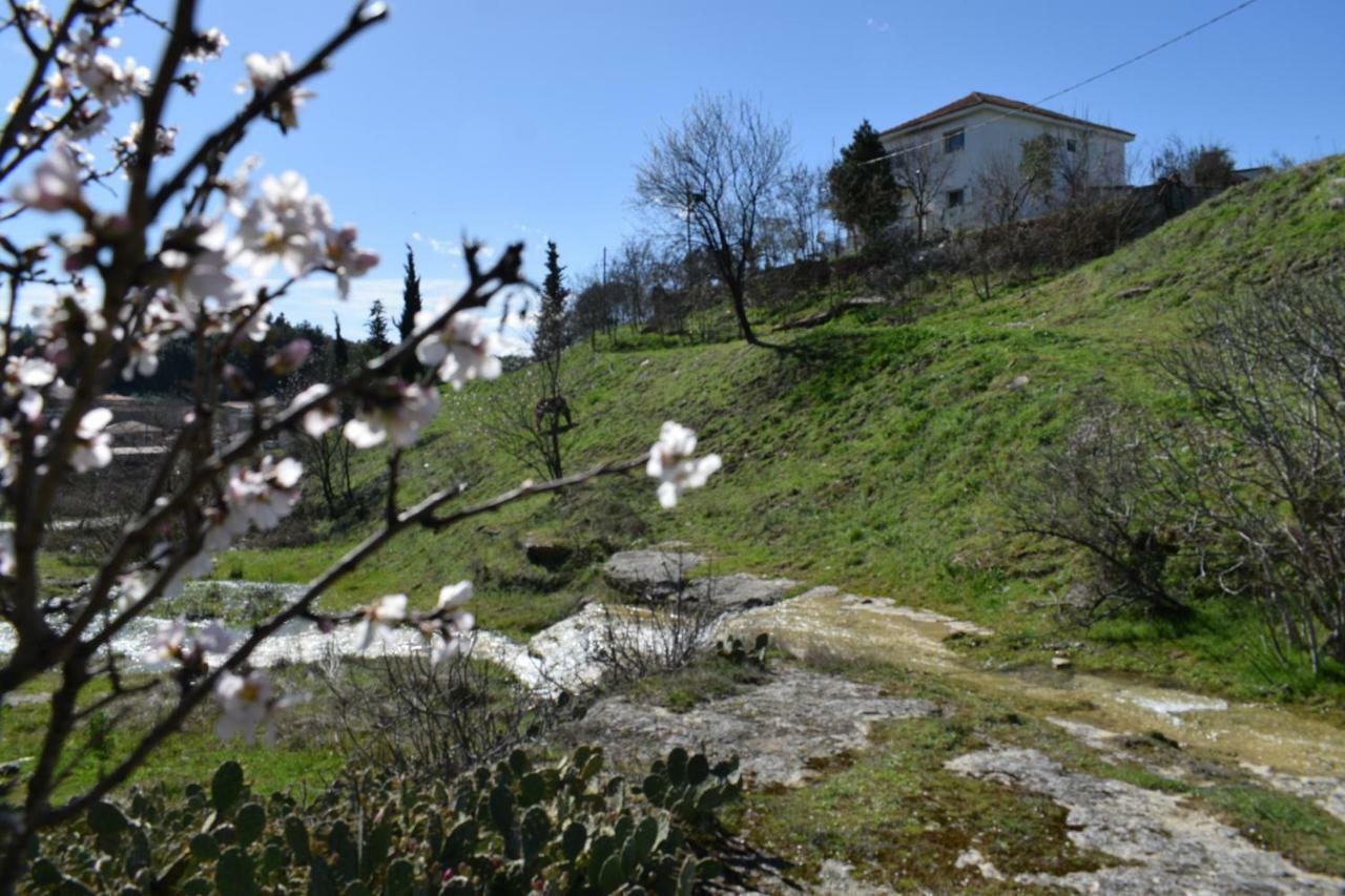 Oasis Of Calmnessε Villa Ardani Kültér fotó