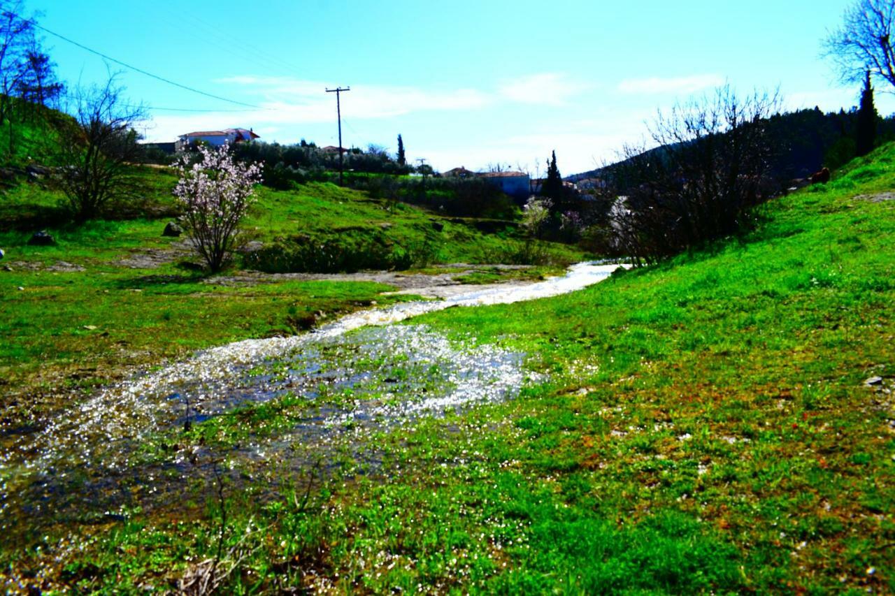 Oasis Of Calmnessε Villa Ardani Kültér fotó