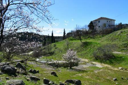 Oasis Of Calmnessε Villa Ardani Kültér fotó